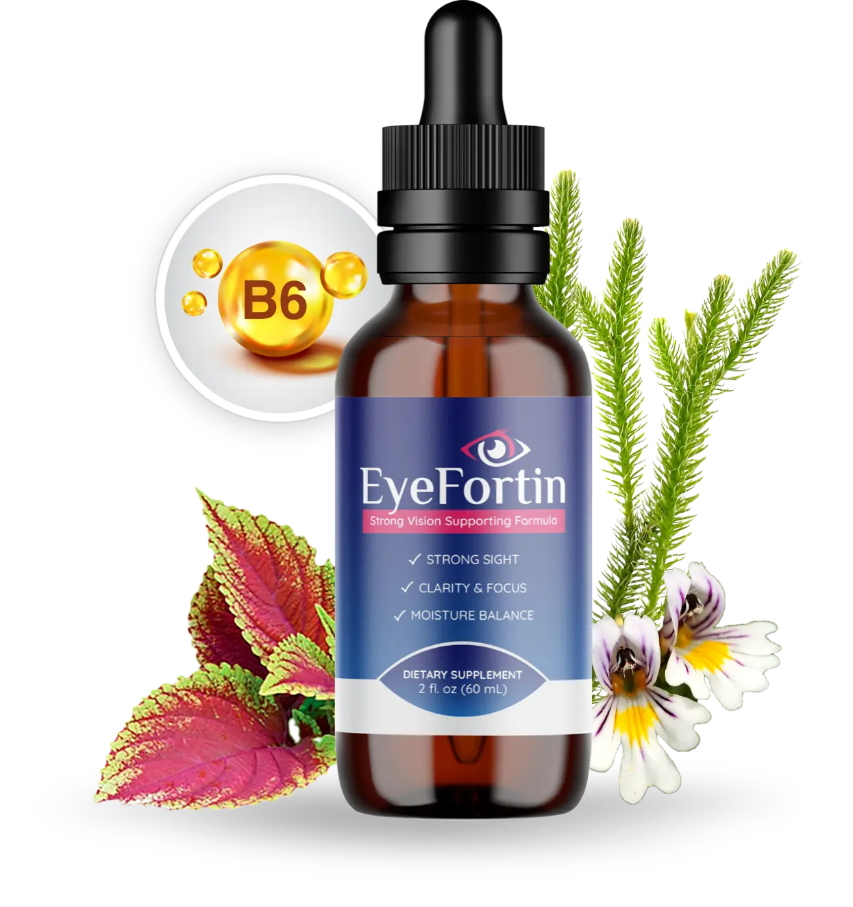 EyeFortin Reviews